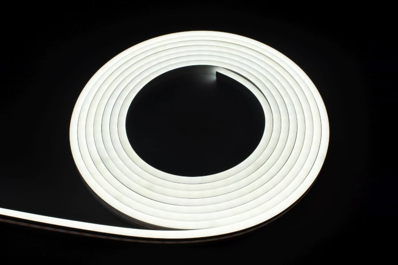 Neon Flex Eco